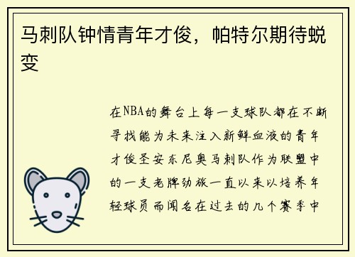 马刺队钟情青年才俊，帕特尔期待蜕变