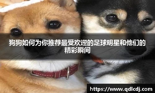 狗狗如何为你推荐最受欢迎的足球明星和他们的精彩瞬间